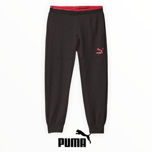 PUMA Kids | Gray | Toddler Girls Sweatpants - Picture 1 of 7